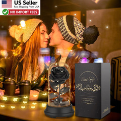 Preserved Black Rose Gift Light Up Eternal Flower In Dome For Mom Wife FROM USA