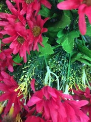Artificial Plastic Fabric Red Colour Flowers With Green Leaves