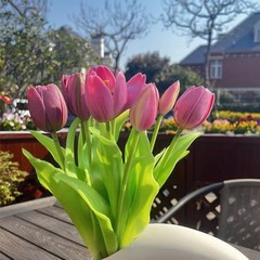 10pcs Multicolor Artificial Tulip Bundle with 5pcs Purple and 5pcs Light Purple