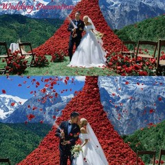 2200 PCS Dark-Red Silk Rose Petals for Romantic Night,Wedding,Proposal Annive…