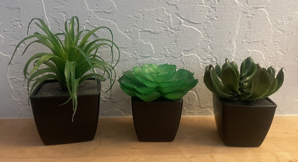 Cute Set~ 3 Assorted 3,4, 5” Faux Small Succulent Plants Pots Wedding Home Decor