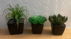 Cute Set~ 3 Assorted 3,4, 5” Faux Small Succulent Plants Pots Wedding Home Decor