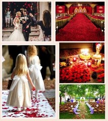 Neo LOONS 1000 Pcs Artificial Silk Ivory / Cream Rose Petals Wedding Decoration