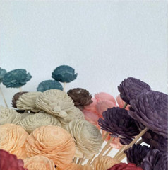 Preserved Stella Wand Natural Dried Flowers Home Wedding Bouquet Decor