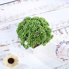Burgundy Dark and Light Green 6″ Faux Sedum Succulent Plants Off White Pots