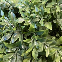 National Tree Company Artificial Shrub | Includes Pot Base | 13 inches, Green