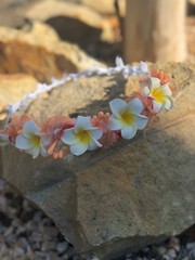 Bali Plumeria Franjapani Wedding Party Crown Flower