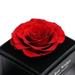Yabesty Preserved Rose with Love Necklace Jewelry Gift Set, YSH03, Ysh03