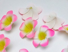 50 Pcs x 2″ Artificial Flower Foam Pink with Yellow Plumeria Heads for Weeding