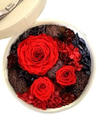 Je T’aime Preserved Fresh Red Roses Immortal Flower Gift Box