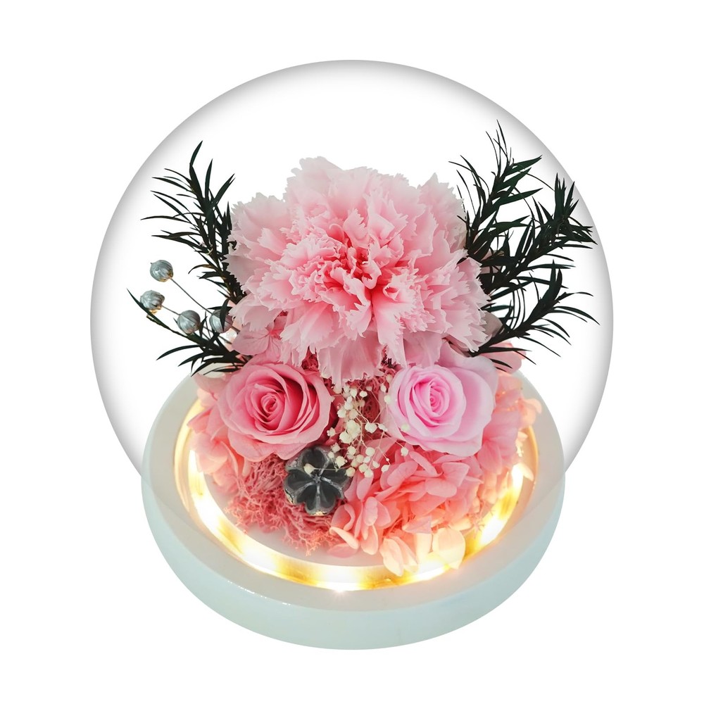 GLAMOUR BOUTIQUE Preserved Flowers Rose in Glass Dome w/Light – Long Pink