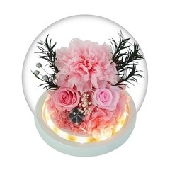 GLAMOUR BOUTIQUE Preserved Flowers Rose in Glass Dome w/Light – Long Pink