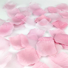 500 Pcs Exquisite Light Pink Rose Petals, Artificial Flower Petals for Weddings,