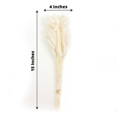 WHITE 50 Stems 15″ Rabbit Tail Dried Natural Pampas Grass SPRAYS Party Events