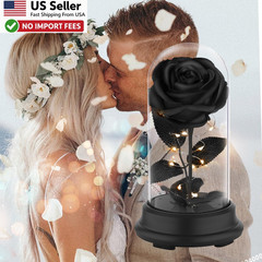 Preserved Black Rose Gift Light Up Eternal Flower In Dome For Mom Wife FROM USA