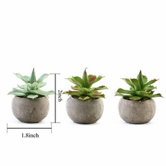 3 Round Pots 5″ Assorted Faux Aloe Succulent Plants Wedding Favors Centerpieces