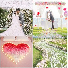 Rose Petals Ivory 1200pcs Fake Flower Petals Artificial Silk Rose Petals for Gir