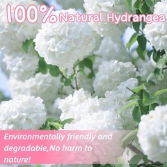 1500 Real Dried Hydrangea Flower Petals -1.06Oz Real Natural Preserved Petals
