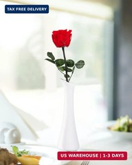 Flowers for Delivery Prime, Preserved Roses Flower Gifts for Women, Real Roses S