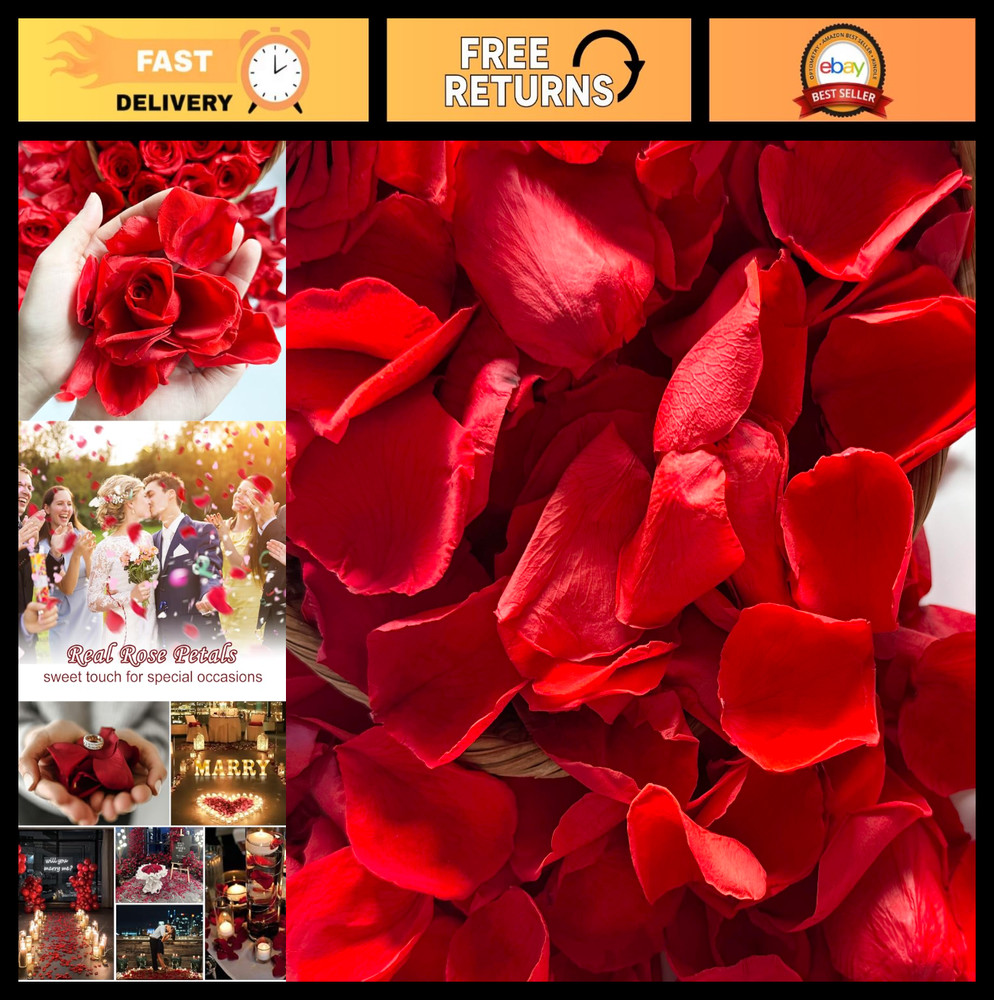300+ Dried Red Rose Petals – Wedding Confetti, Party Decor, Romantic Proposals (