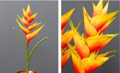 Rikyo 34 in/86cm Large Bird of Paradise Heliconia Stem 34 inches, Red