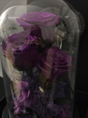 DENIMOMO Flowers Roses Gifts for Women Her,Forever H7.8in W4.7in, Purple Rose