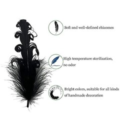 50pcs Curly Nagorie Goose Feathers 5-7inch for Hat Dress Decor Crafts DIY White