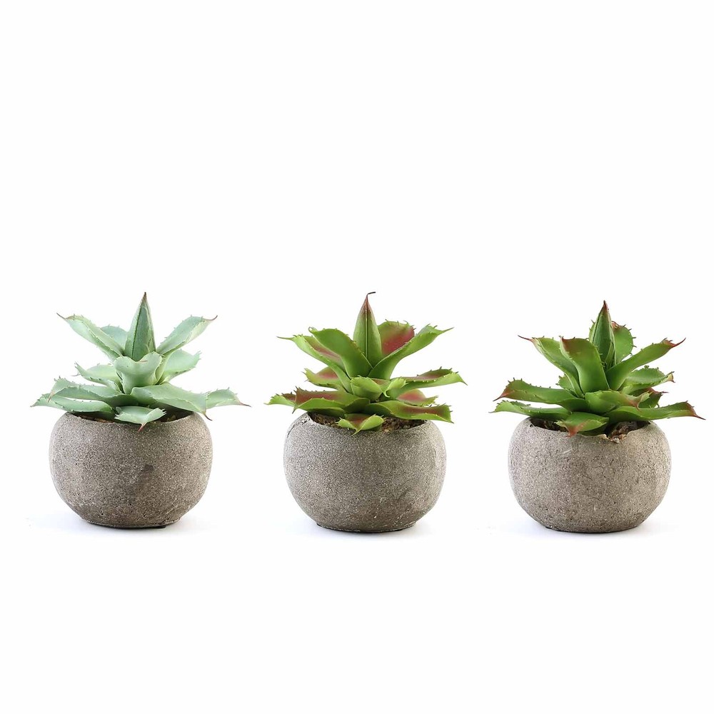 Set of 3 5″ tall Assorted Artificial Faux Aloe Succulent Plants with Round Pots