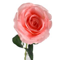 Long Stem Rose Flowers Fake Wedding Centerpiece Bridal Bouquet Arrangement PEACH