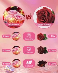 HVY Preserved Flowers in Glass for Her,Pink Real Rose Bouquet with Pink