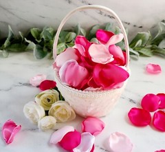 Hot Pink Rose Petals Barbiecore Wedding Decor Will You Marry Me Petal Patrol Box