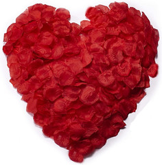 3000 pétalos de rosa roja, pétalos de rosa de flores de seda artificiales