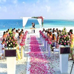 2000 × Silk Rose Petals Romantic Decor Fake Flowers Confetti Wedding Engagement