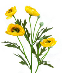 21″ Ranunculus Spray, 4 Heads, Artificial Silk Wedding Flowers Fake Faux Stems