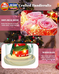 Preserved Flowers in Glass for Her,Pink Real Rose Bouquet with Pink
