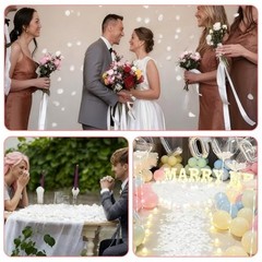 2200PCS Artificial Flower Petals Engagement Party Decorations 2000PCS White