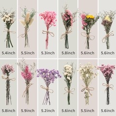 10/12/24/36 Pack Mini Dried Flowers for Vase Wedding Various Mini Bouquet Dri…