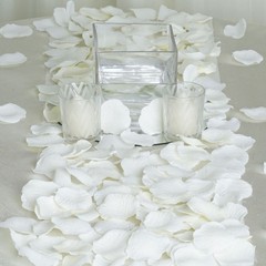 2000 Ivory Silk Rose PETALS Wedding Party Decorations Supplies WHOLESALE