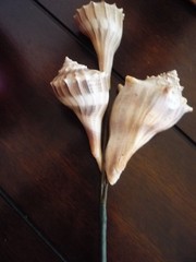 3 Seashell Bouquet Picks Beach Wedding Flower Inserts Floral Bouquet home decor