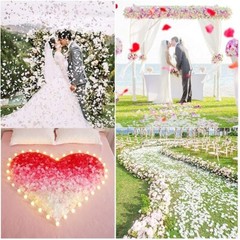 Pétalos de rosa blancos, 1200 unidades, flores artificiales de seda