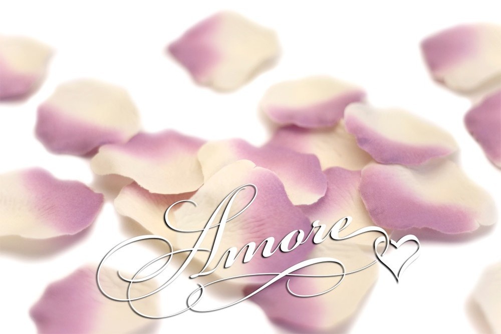 1000 Wedding Silk Rose Petals Extravaganza (Lavender and Light Ivory), Petals &