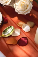 Lookein 300pcs Terracotta Rose Petals Satin Flower Petals for Wedding Flower …