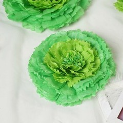 12 12″ 16″ 20″ Mint Green and Tea Green Tissue Paper Carnation Flowers Backdrop