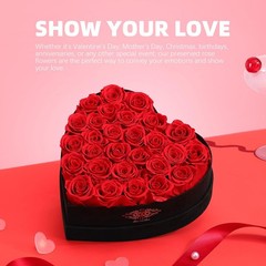 Mothers Day Roses Gifts for Mom,Forever Preserved Flowers 28 ROSE, Red