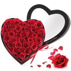 Mothers Day Roses Gifts for Mom,Forever Preserved Flowers 28 ROSE, Red