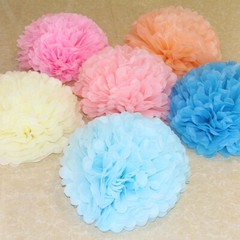 2x DIY Tissue Paper Pom Poms Flowers Birthday Wedding Party Backdrop Home Decor