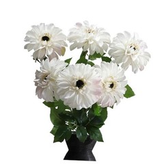 6 Pack Artificial Chrysanthemums Silk Flowers,24’in Long Stem Fake Creamy White