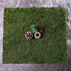 GREEN 18″ x 16″ Natural Preserved Moss Sheet Wedding Party Crafts Decorations