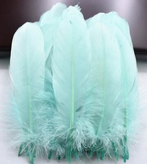 Mint Green Goose Feathers 6-8″ 12 Pc Wedding Millinery Crafts Decoration