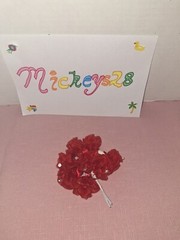 Studio His And Hers Red Organza Picks With A Crystal In Center